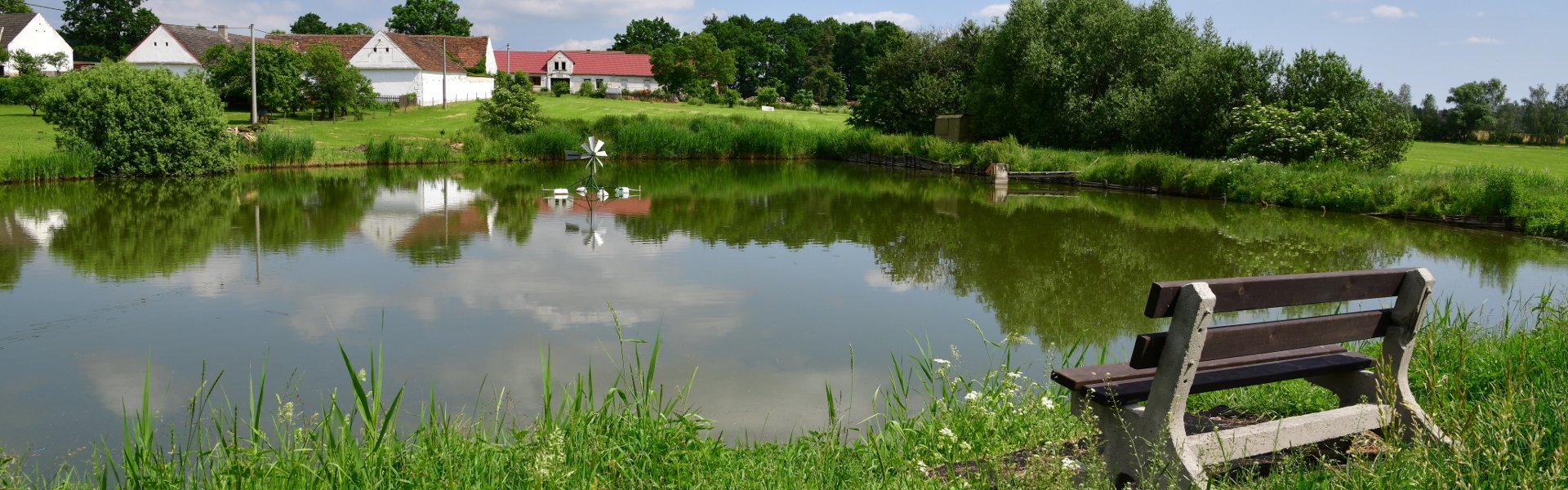 Měnič obrázků - fotografie