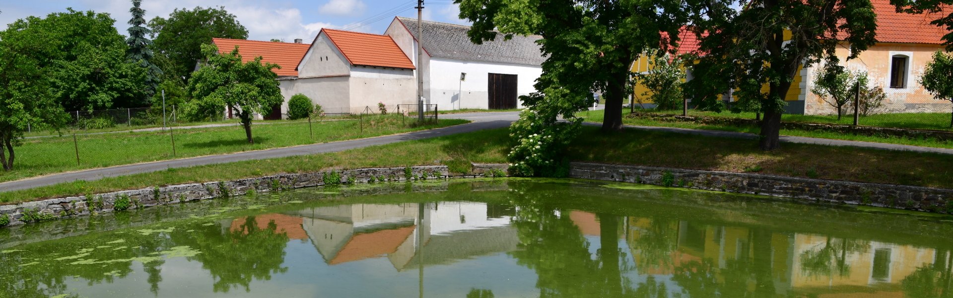 Měnič obrázků - fotografie